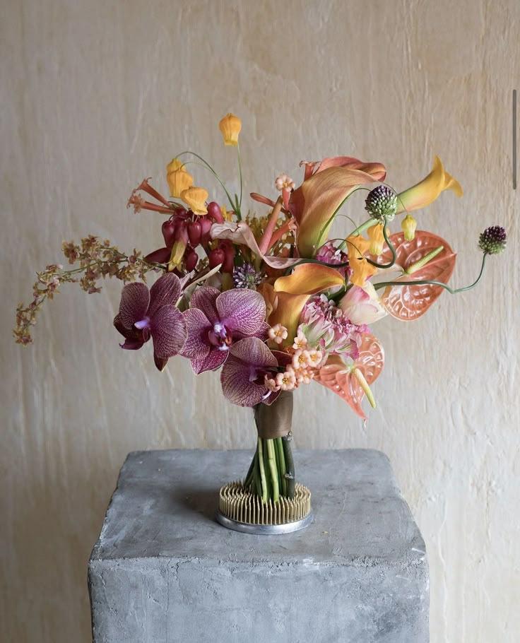 Dreamweaver's Palette of Fragrant Wonders
