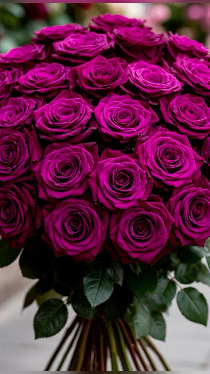 Serenity's Breath in Blooming Whispers